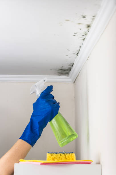 Best Emergency Mold Removal  in Bladenboro, NC
